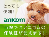 anicom